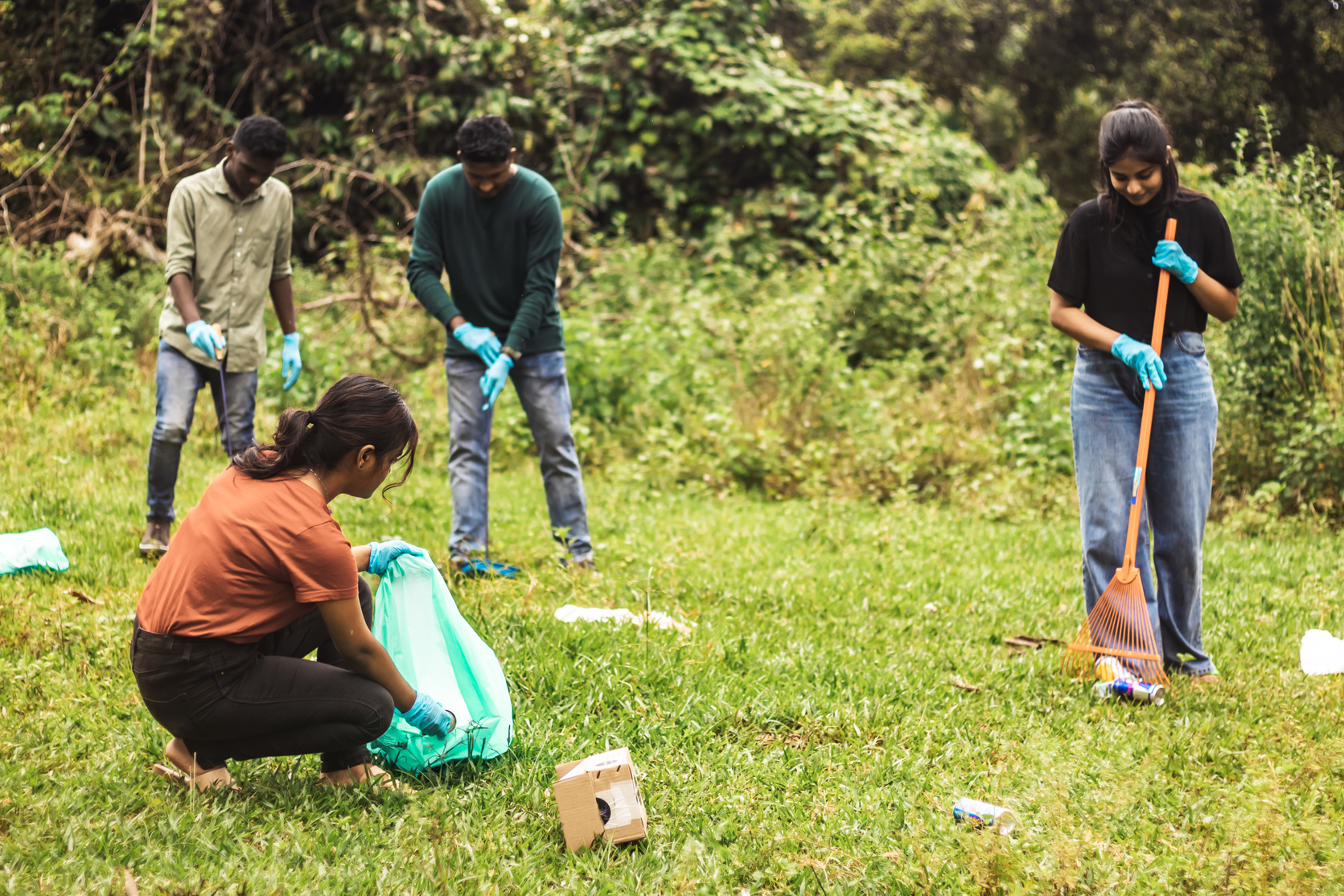 People Picking Up Trash in the Forest